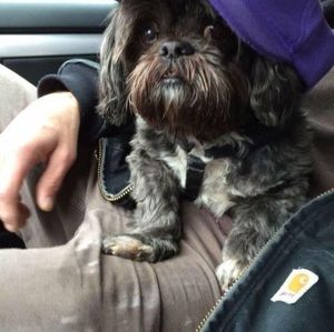 Meet your Posher, Thomas